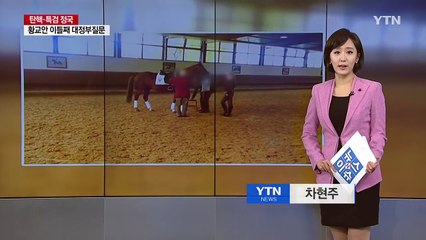 정유라에 '강아지 패드'까지 지원한 삼성? / YTN (Yes! Top News)