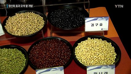 총천연색 동지 팥죽, 어때요? / YTN (Yes! Top News)