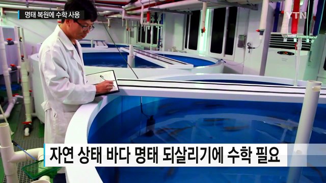 명태 복원에 수학이?...산업 수학의 세계 / YTN (Yes! Top News)