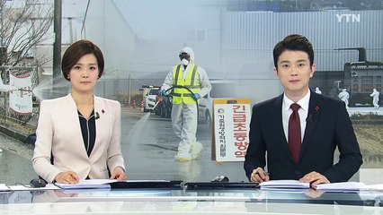 최악의 AI 사태...정부 '최후 수단' 백신 개발 착수 / YTN (Yes! Top News)