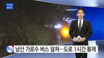 남산 가로수가 관광버스 덮쳐...순환도로 1시간 통제 / YTN (Yes! Top News)