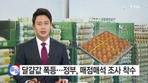 달걀값 폭등...정부, 매점매석 조사 착수 / YTN (Yes! Top News)