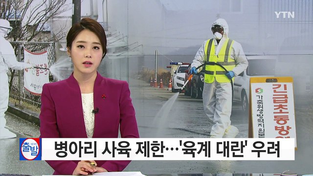 병아리 사육 제한, 달걀 이어 '육계 대란' 우려 / YTN (Yes! Top News)