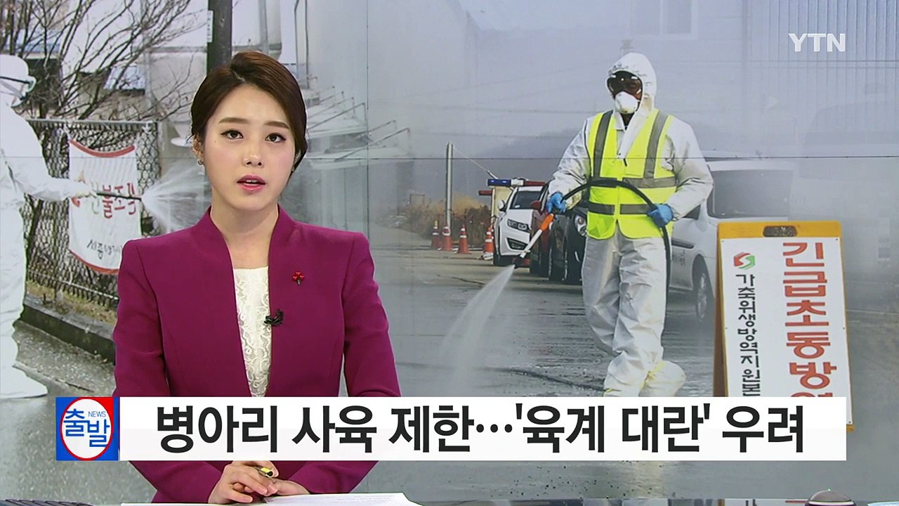 병아리 사육 제한, 달걀 이어 '육계 대란' 우려 / YTN (Yes! Top News)