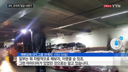 [단독] SPC '달걀 사재기' 내부문건 입수...거짓 해명에 은폐 의혹까지 / YTN (Yes! Top News)