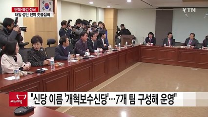 與 "인명진 비대위원장 선임"...비주류 "창당 작업 착수" / YTN (Yes! Top News)
