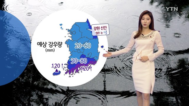 [날씨] 전국 겨울비...밤사이 남해안·제주 호우 / YTN (Yes! Top News)