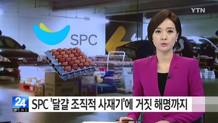 SPC '달걀 조직적 사재기'에 거짓 해명까지 / YTN (Yes! Top News)