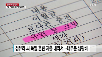 최순실, 삼성돈 멋대로 '펑펑'...강아지 패드도 구입 / YTN (Yes! Top News)