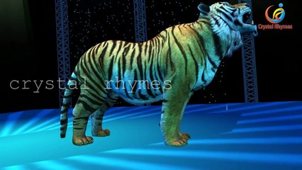 Wild Animals Finger Family 3d Animated Nursery Children English Rhymes