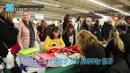 [세상교과서] 유기견을 위한 크리스마스 선물 / YTN (Yes! Top News)