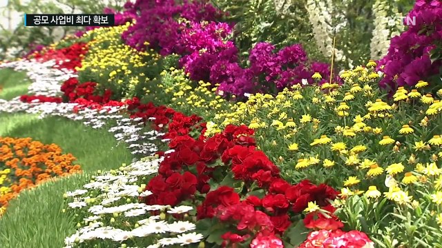 함평, 청렴도 1위...공모사업비 최다 확보 / YTN (Yes! Top News)