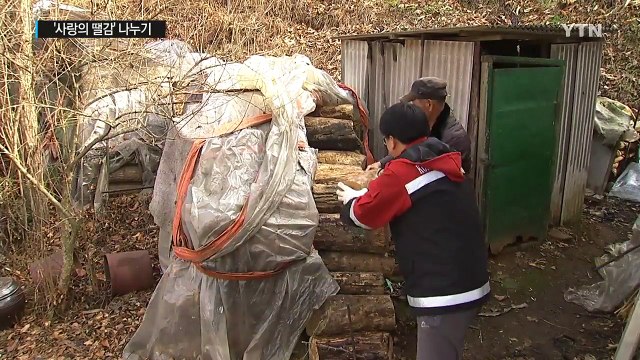 사랑의 땔감으로 어려운 이들에 따뜻한 겨울을 / YTN (Yes! Top News)