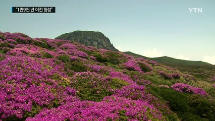 "한라산 백록담, 1만 9천년 전 형성" / YTN (Yes! Top News)