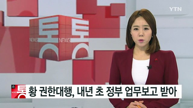 황교안 권한대행, 내년 초 정부 업무보고 받아 / YTN (Yes! Top News)