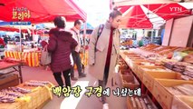 [YTN 구석구석 코리아] 제15회 도심 속 테마 여행지, 용인 / YTN (Yes! Top News)