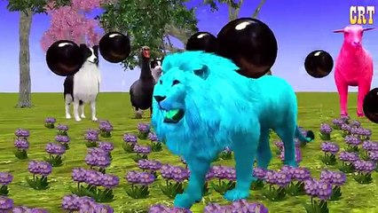 Sack Colourful Colour Song || Cartoon Kids Rhymes For Nursery Collection