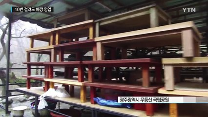 국립공원 등에 불법 음식점...10번 걸려도 배짱 영업 / YTN (Yes! Top News)