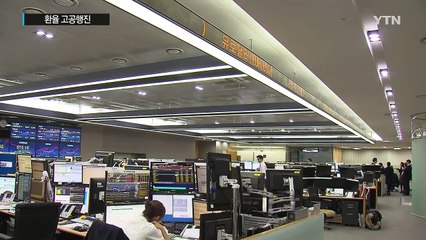 환율 고공행진...내년 1,300원 뚫을 가능성 / YTN (Yes! Top News)