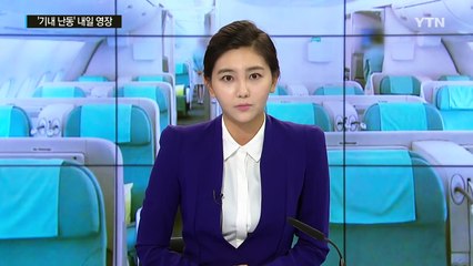 대한항공 기내 난동 피의자 구속 영장 신청 예정 / YTN (Yes! Top News)
