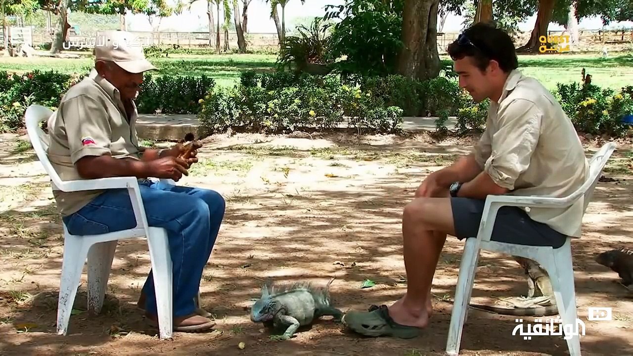 الأكبر و الأشرس | ثعبان الأناكوندا HD