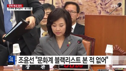 조윤선 "문화계 블랙리스트 본 적 없어" / YTN (Yes! Top News)