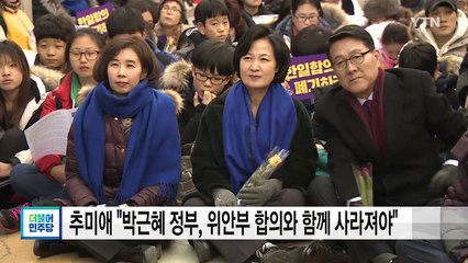 추미애 "박근혜 정부, 위안부 합의와 함께 사라져야" / YTN (Yes! Top News)