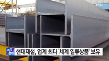 [기업] 현대제철, 12년 연속 업계 최다 '세계 일류상품' 보유 / YTN (Yes! Top News)