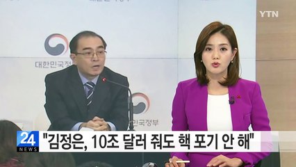 태영호 "김정은, 10조 달러 준다 해도 핵 포기 안 해" / YTN (Yes! Top News)