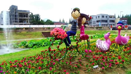 2016 8월 전남 장흥 탐진강 여름풍경과 물축제 현장을 찾아서