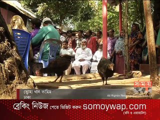 সেপটিক ট্যাংক দিন দিন হয়ে উঠছে মৃত্যুফাঁদ