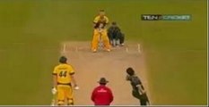 TOP 10 INSANE SWITCH HITS IN CRICKET HISTORY   2016-17
