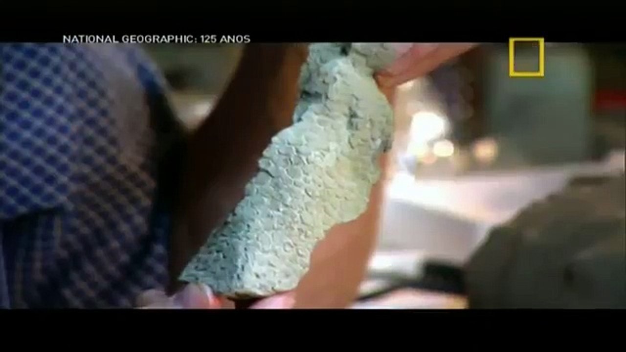 NATIONAL GEOGRAPHIC - AUTÓPSIA DE UM DINOSSAURO