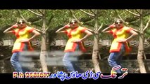 Pashto New Song With Dance Gul Rukh Gul - Zama Pa Stargo Ke