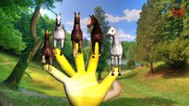 Horse Sounds Finger Family | Popular Nursery Rhymes | English Nursery Rhymes