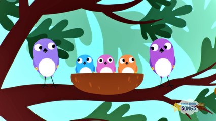 Hello Little Baby Sparrows _ Original Kids Song from Treetop Family-lryk31wxqlQ