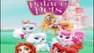 ☆ Disney Princess Palace Pets Auroras Bloom Game For Little Kids & Toddler