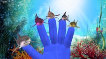 Shark Finger Family Nursery Rhymes Collection | Shark Cartoons For Children Rhymes
