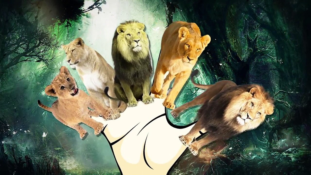Lion Cartoons Finger Family Nursery Rhymes | Tiger Cartoons Finger Family Rhymes For Children