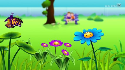 Incy Wincy Spider Nursery Rhyme With Lyrics - Cartoon Animation Rhymes & Songs for Children-Phck__iZFGU