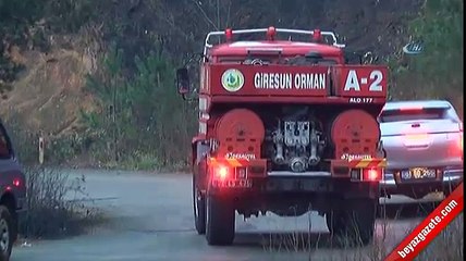 Günün ağarmasıyla Trabzon’daki yangının boyutu ortaya çıktı