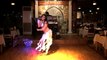 Najla Ferreira الراقصه نجلاء في دبي Awesome Arabic Belly Dancer in Dubai