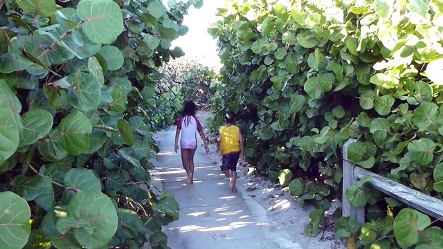 'Home' _ Beach song for Children, Kids and Toddlers _ Nursery rhymes _ Patty Shukla-LW_4FNy7ZtA