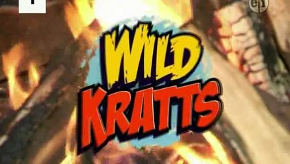 Wild Kratts - Masked Bandits