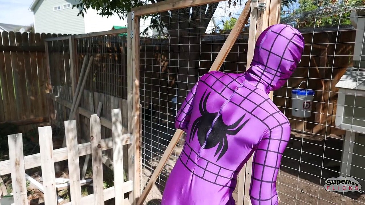 Crazy Joker vs Purple Spiderman vs Zombie Monkey Gorilla in Real Life | Superhero Movie!