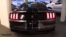 Ford Mustang Shelby GT350 2017 In Depth Re
