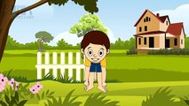 Head Shoulders Knees and Toes | Parts of The Body Song | Nursery Rhymes new
