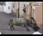 bull attack to local people dangerous video