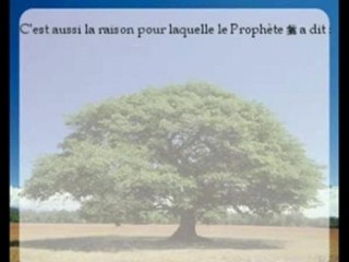 Islam Epreuves de la vie