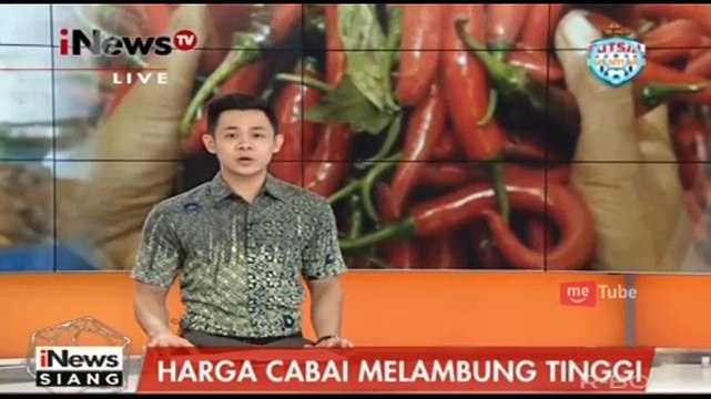 Harga Cabai Mahal, Wanita Ini Tanam Cabai di Rumah